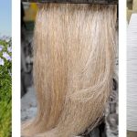 Flax Fiber | Physical And Chemical Properties of Flax Fiber