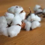 Top 10 Cotton Exporting Countries In The World