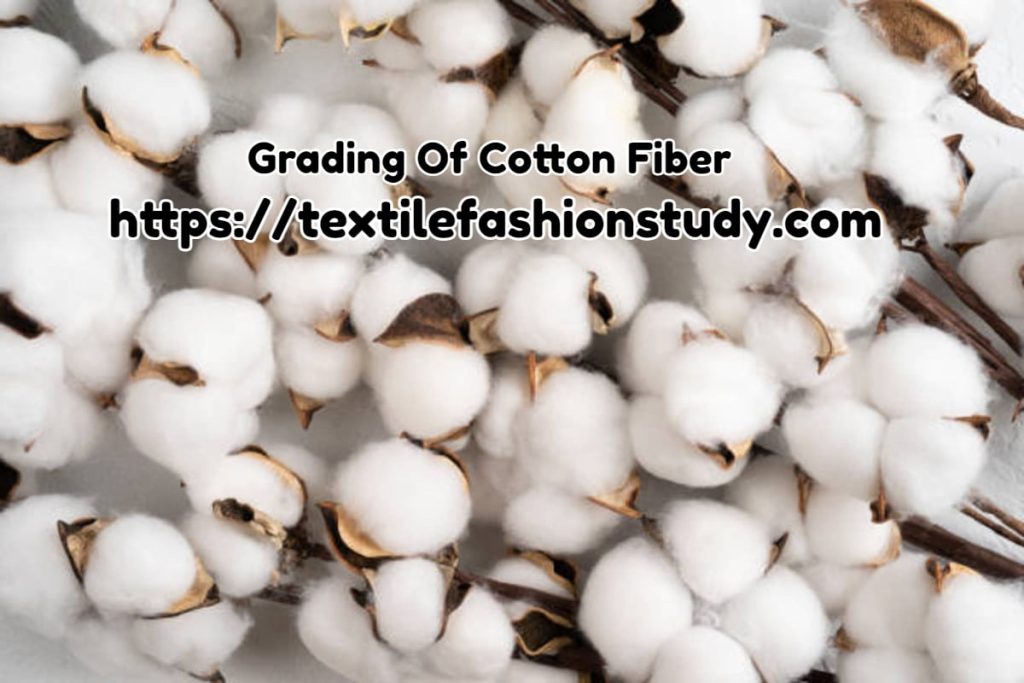 Grading Of Cotton Fiber